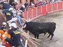 Soito Aldeias 12_91